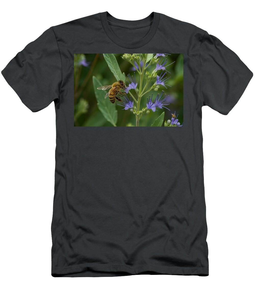 Bee Gathering Nectar From Purple Blossoms Mario G Rivera T-Shirt