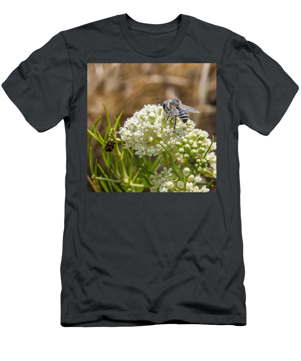 Bee on White Flower Blossoms Mario G Rivera T-Shirt