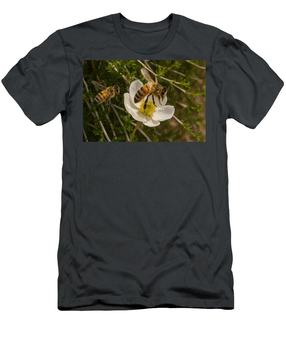 Bees Pollinating a White Flower Mario G Rivera T-Shirt