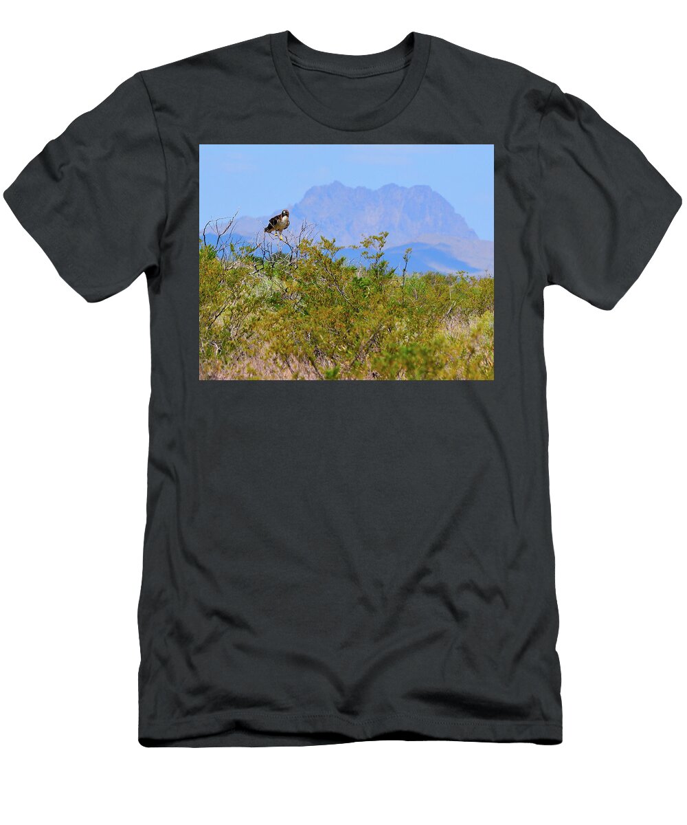 Big Bend Hawk Overwatch Jb Manning T-Shirt