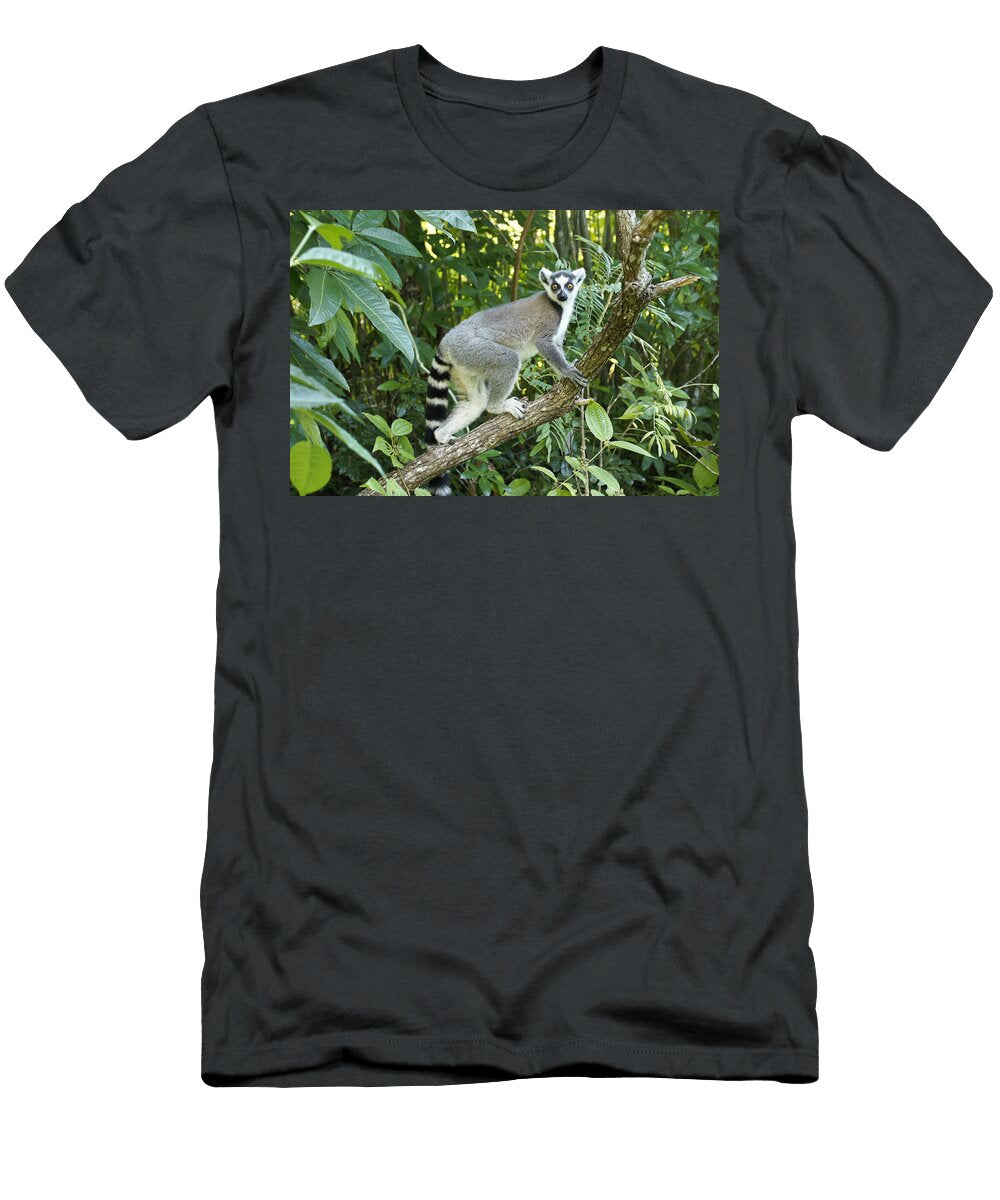 Big Eyes Michele Burgess T-Shirt