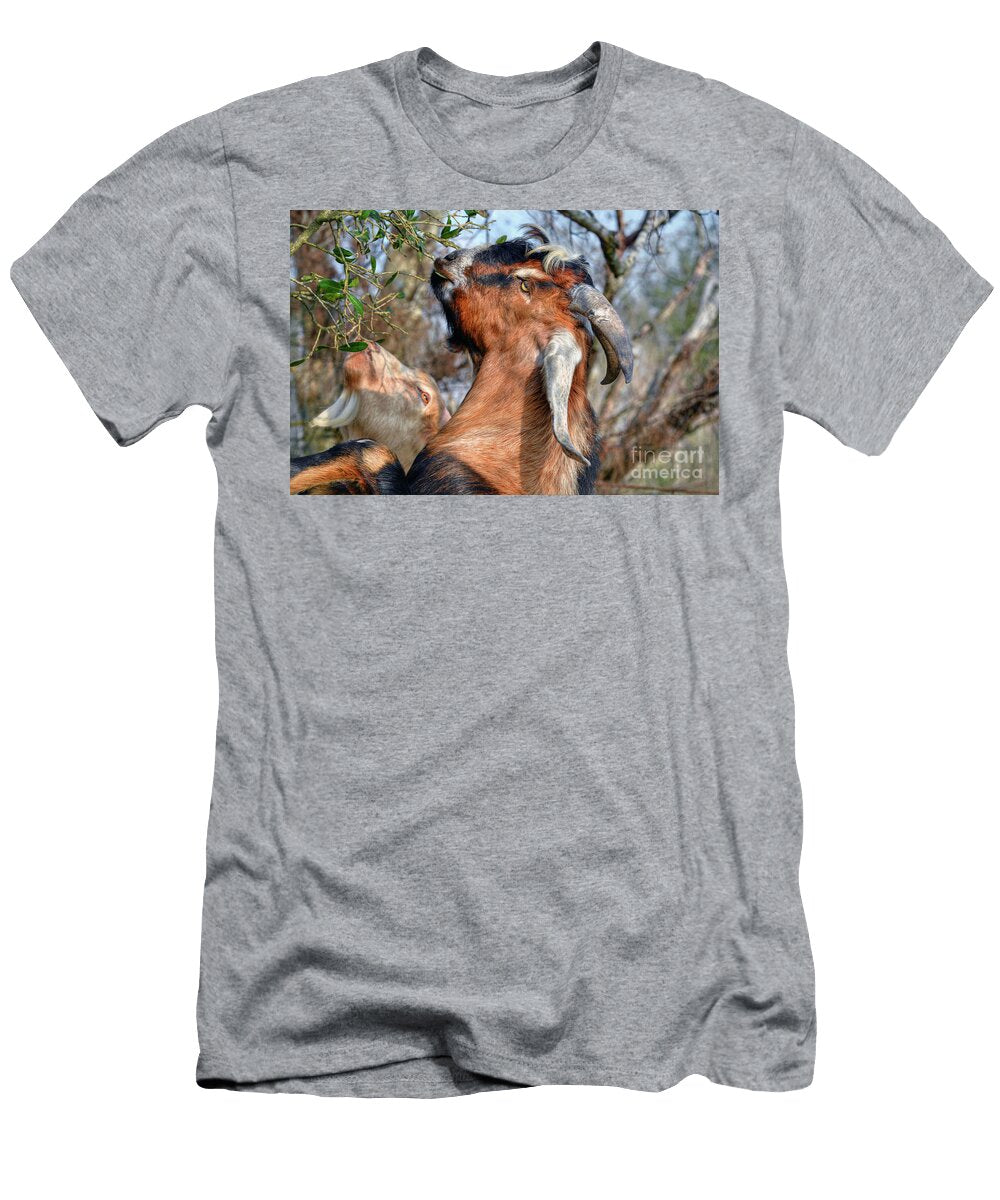 Billy Goats Savannah Gibbs T-Shirt
