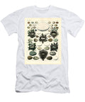 Bird Eggs and Nests of Various Species Print Unknown T-Shirt