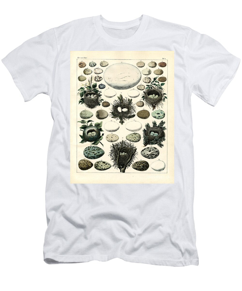 Bird Eggs and Nests of Various Species Print Unknown T-Shirt