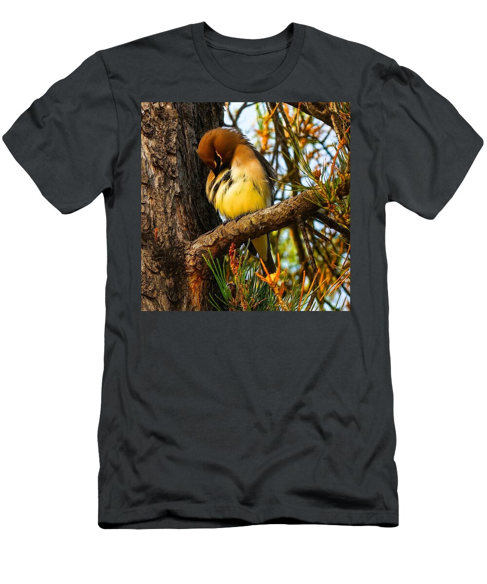 Bird Perched on a Tree Branch Mario G Rivera T-Shirt