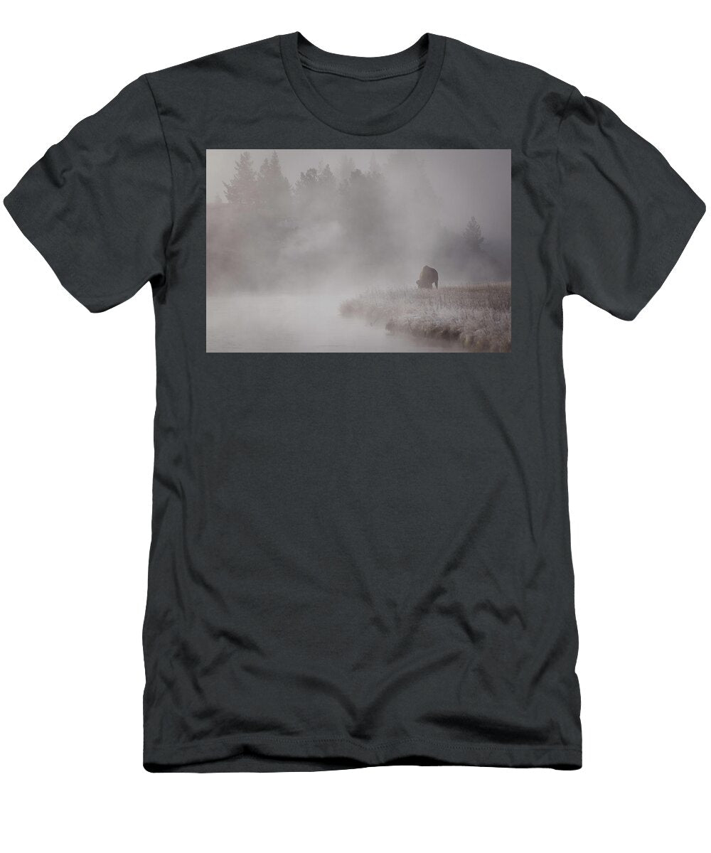Bison Mist Julie Argyle T-Shirt