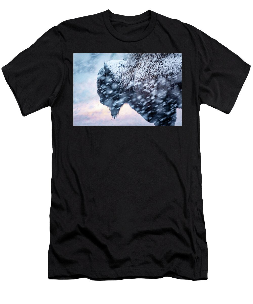 Bison Storm Julie Argyle T-Shirt