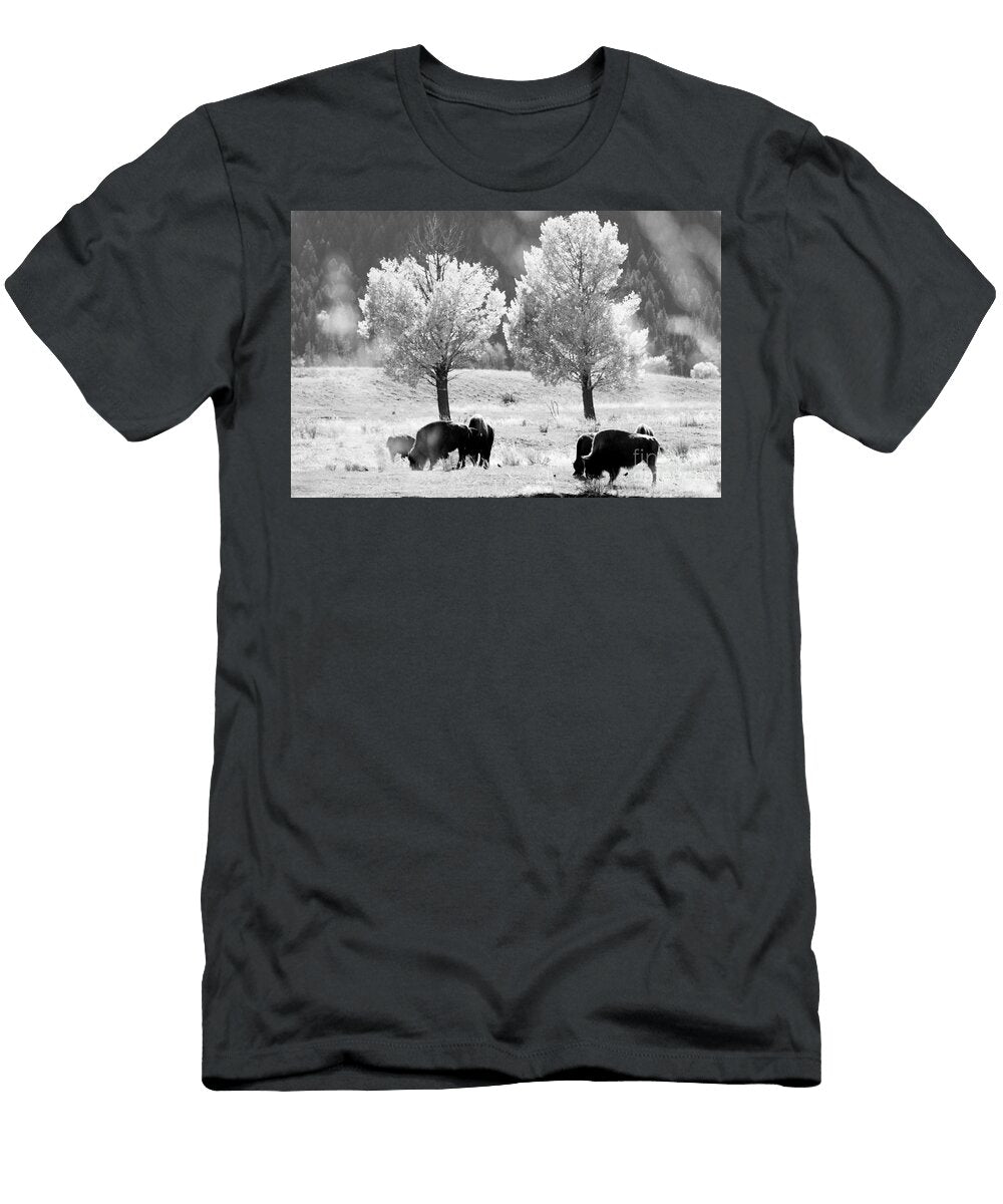 Black and White Bison Julie Argyle T-Shirt