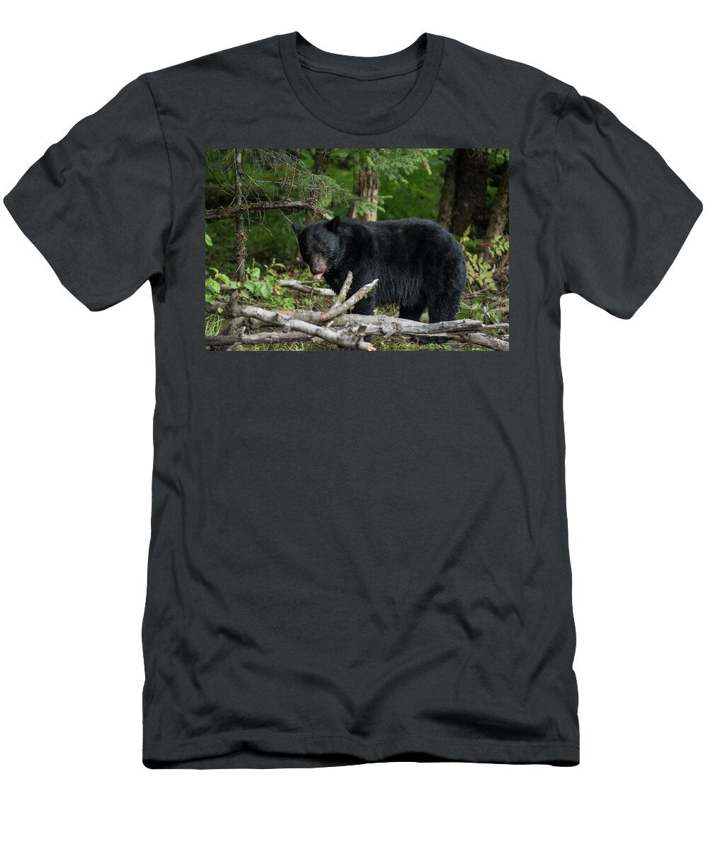 Black Bear in Forest David Kirby T-Shirt