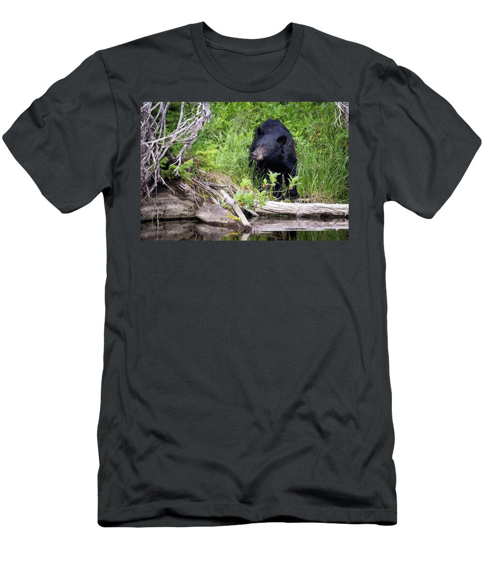 Black Beary Julie Argyle T-Shirt