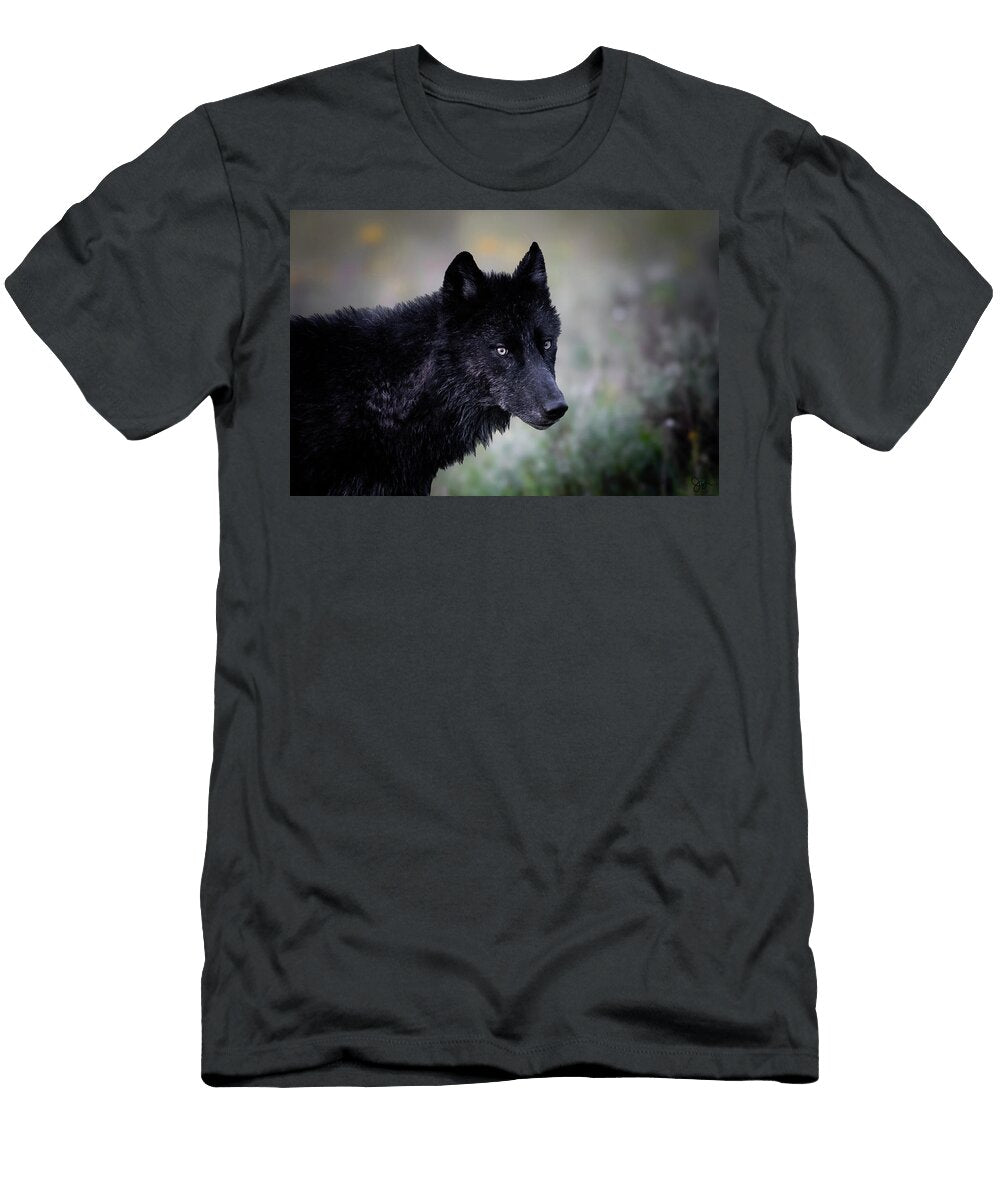 Black Beauty Julie Argyle T-Shirt