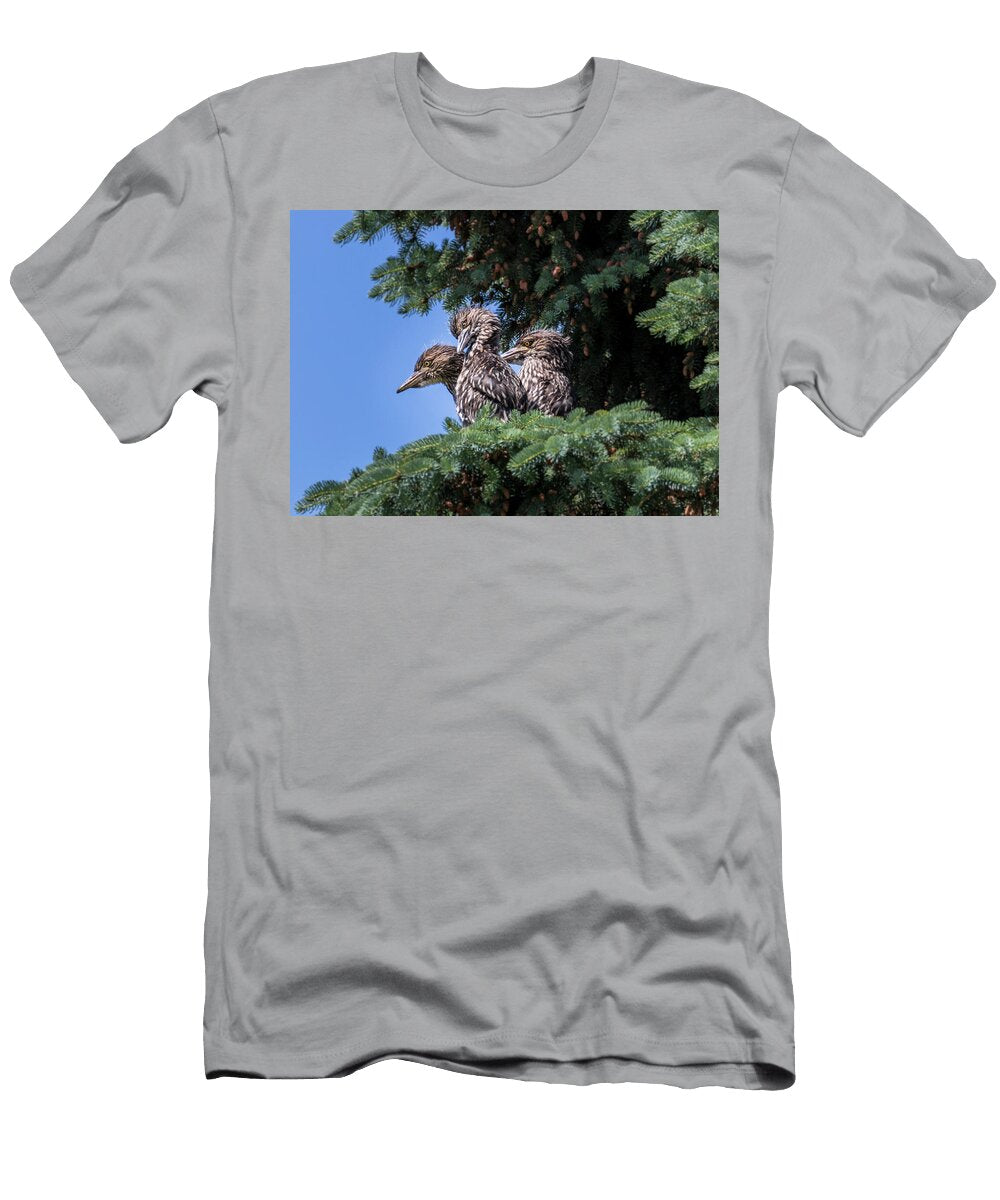 Black Crowned Night Heron Chicks Patti Deters T-Shirt
