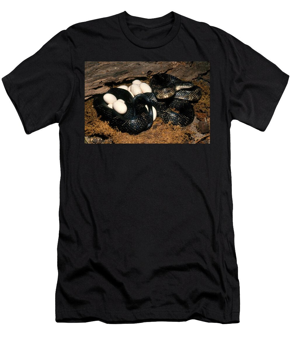 Black Rat Snake with Eggs John Mitchell T-Shirt