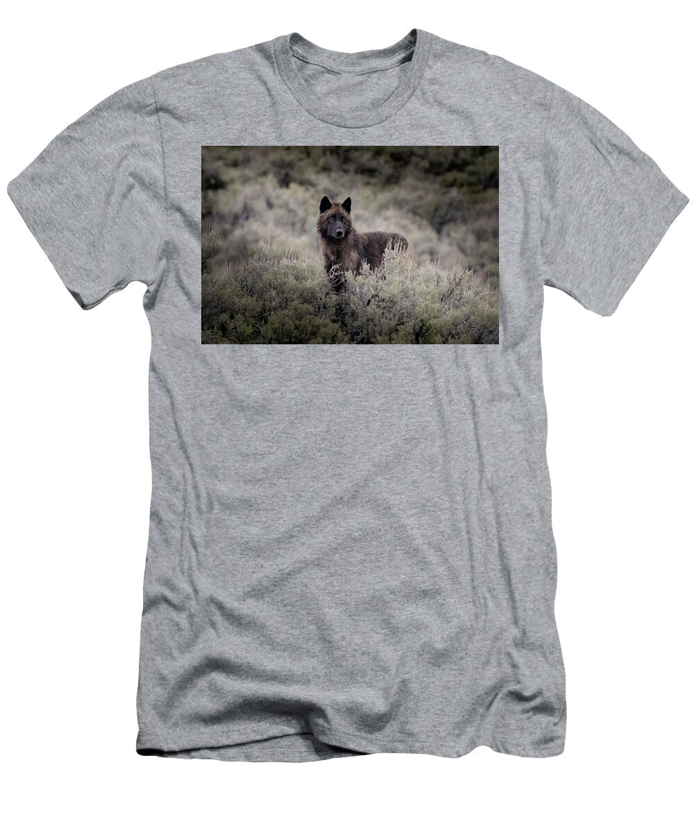 Black Sage Julie Argyle T-Shirt