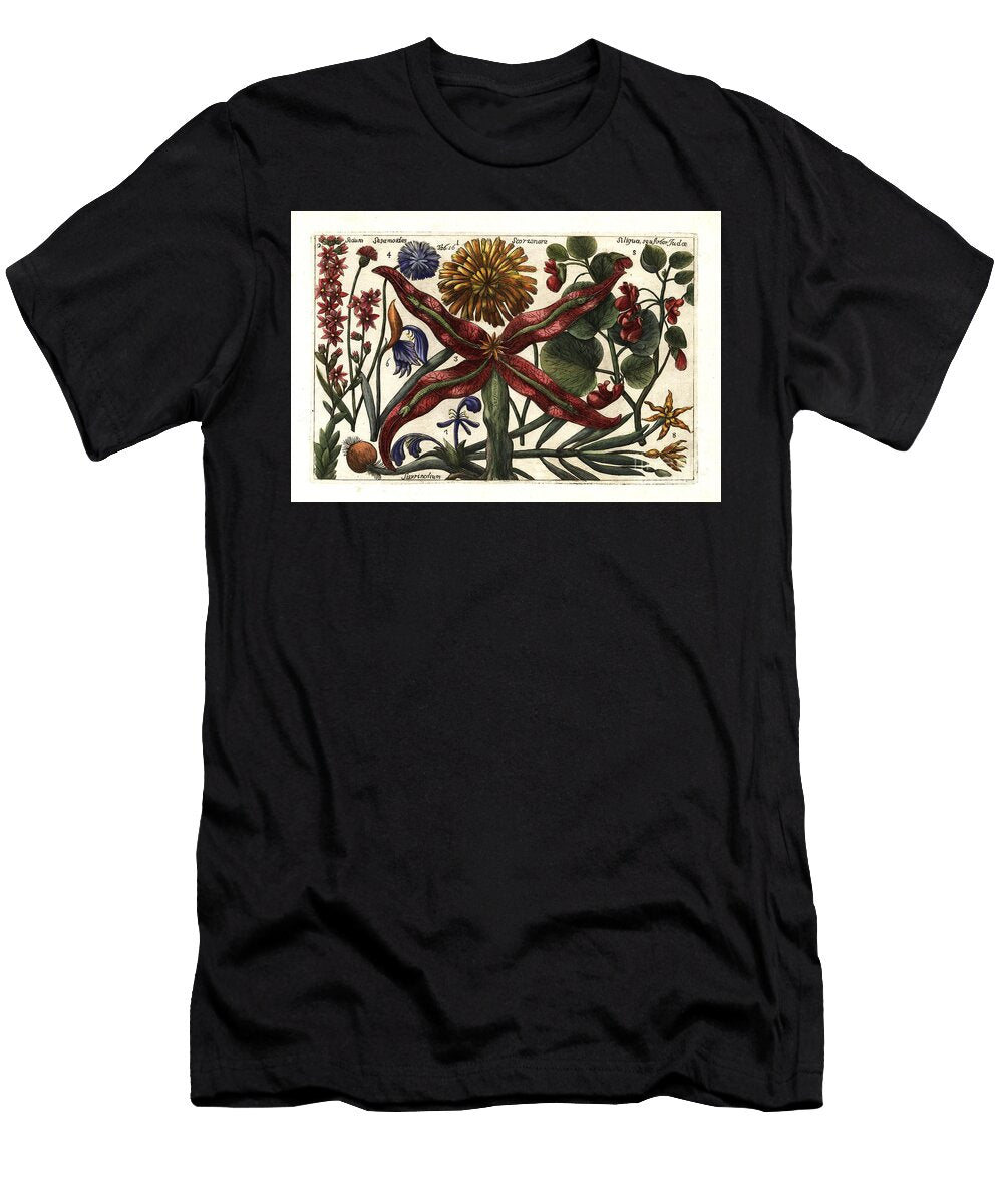 Black Salsify Scorzonera Hispanica European School T-Shirt