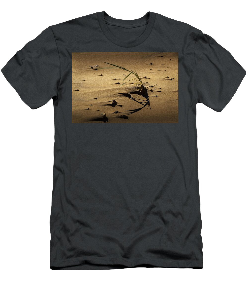 Blade of Grass and Shadow on a Beach Randall Nyhof T-Shirt