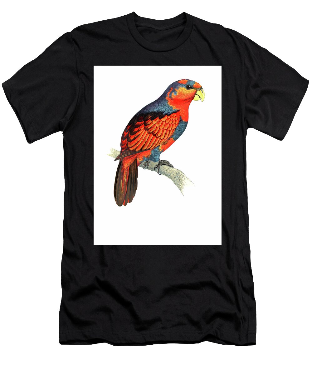 Blue Crowned Mango Art T-Shirt