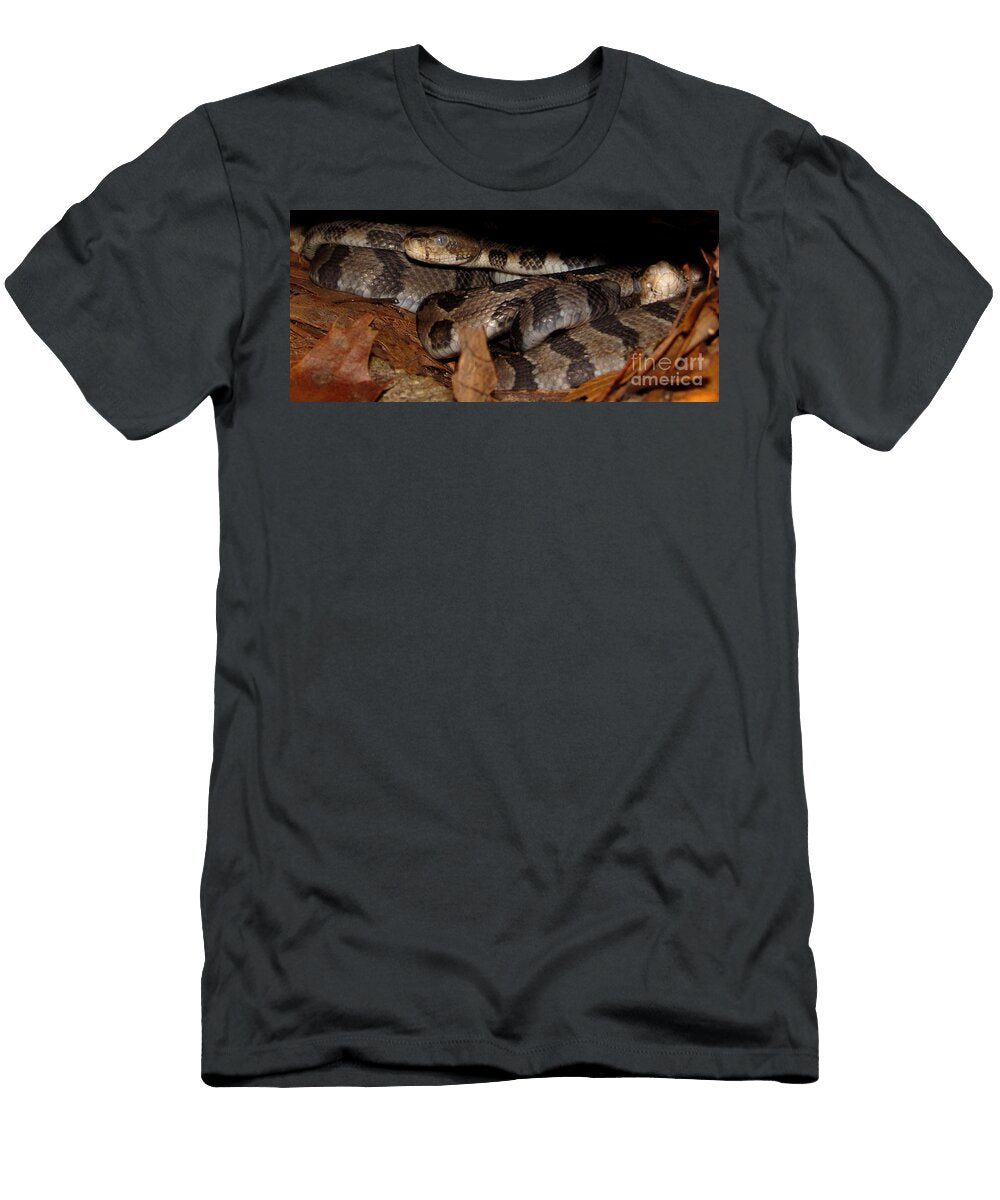 Blue Eyed Babies Joshua Bales T-Shirt
