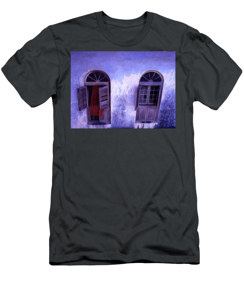 Blue Wall and Windows on a House Steve Outram T-Shirt