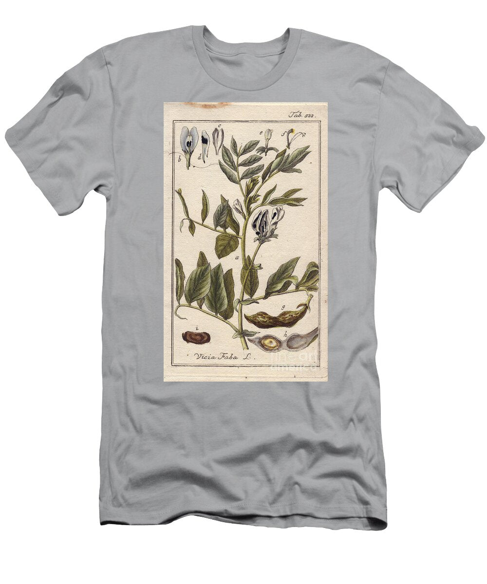 Botanical Bean Plant with Flowers Leaves and Beans in Pods Vicia Faba European School T-Shirt