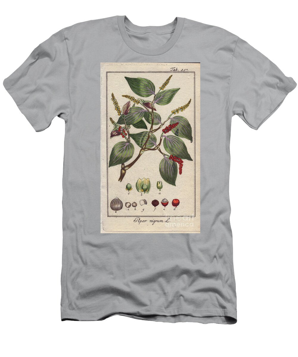 Botanical Black Pepper Black Pepper Piper Nigrum European School T-Shirt