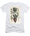 Botanical Cabbage Flower Kohlrabi Arugula European School T-Shirt