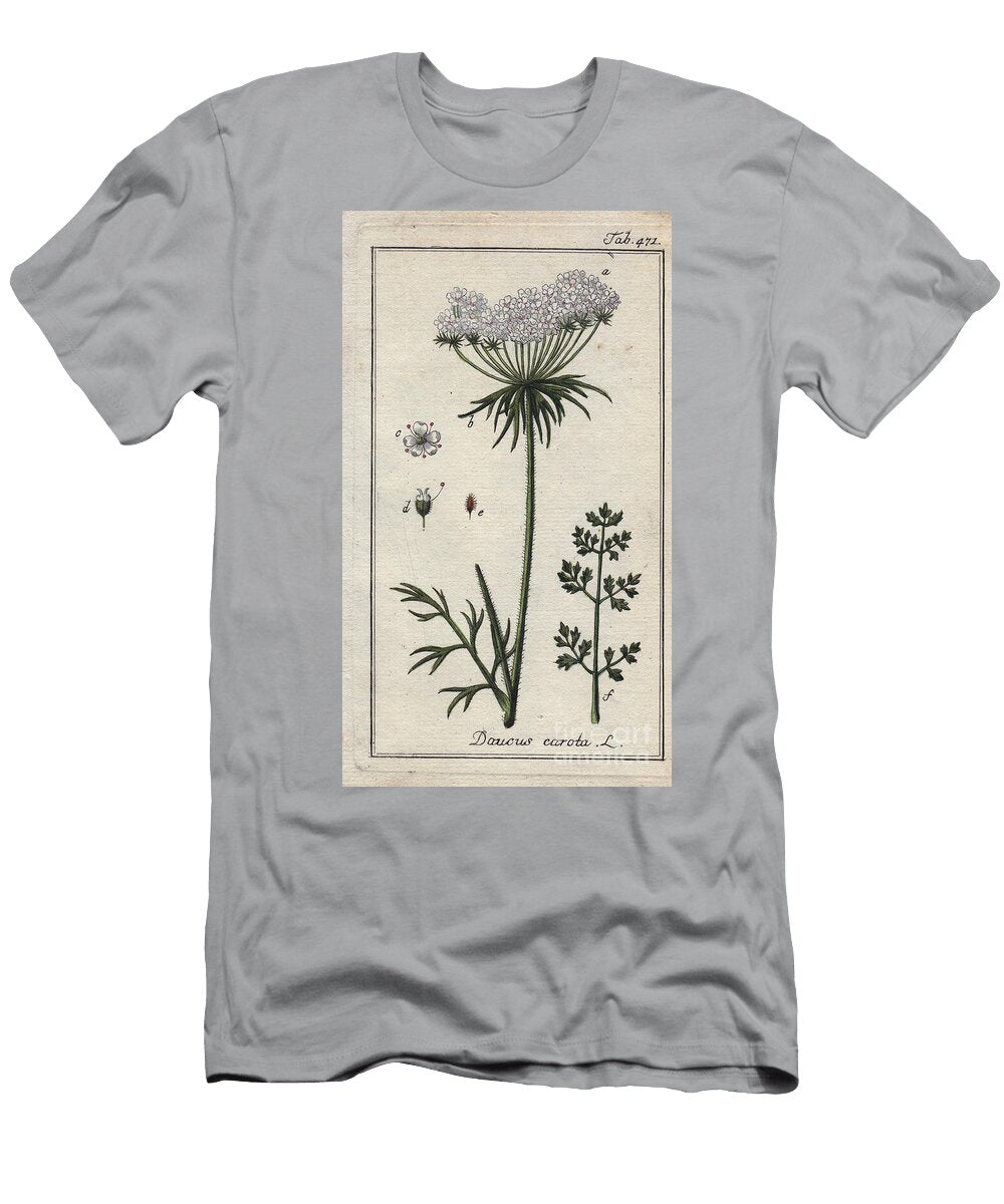 Botanical Carrot Flower Carrot Flowers and Leaves Daucus Carota European School T-Shirt