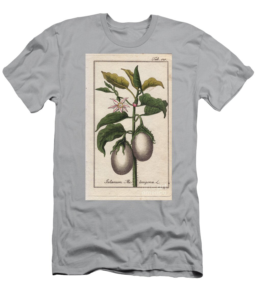 Botanical Eggplant or Eggplant Solanum Melongena European School T-Shirt
