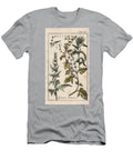Botanical Epinard Spinach Plant Spinacia Oleracea European School T-Shirt