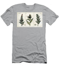 Botanical Epinard Spinach Spinacia Oleracea Male 194 and Female 195 and Cabbage Thistle Cirsium Oloraceus Cniquet Vegetable 196 European School T-Shirt