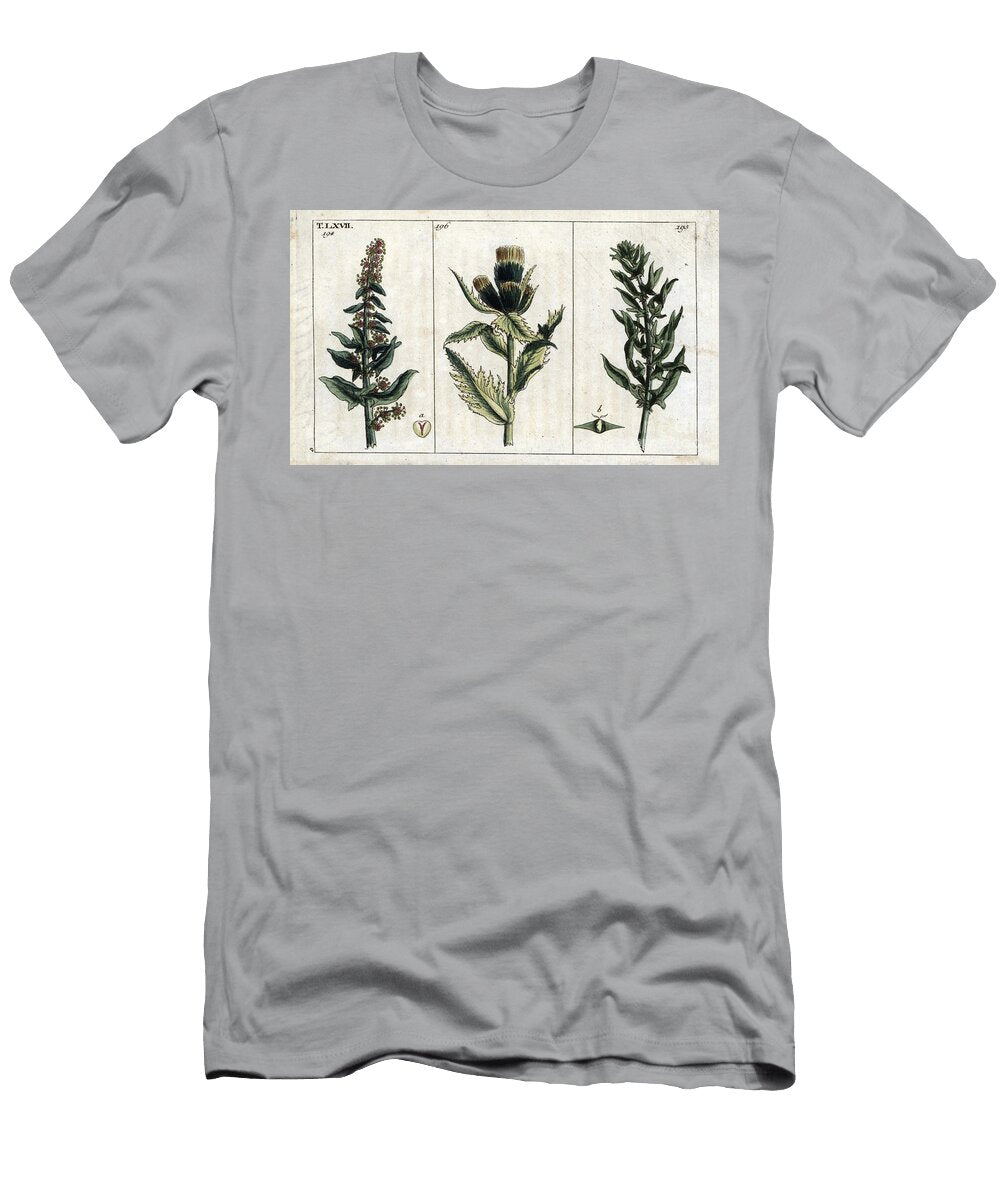 Botanical Epinard Spinach Spinacia Oleracea Male 194 and Female 195 and Cabbage Thistle Cirsium Oloraceus Cniquet Vegetable 196 European School T-Shirt