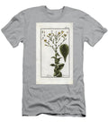 Botanical Lettuce Lettuce Lactuca Sativa European School T-Shirt
