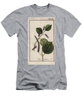 Botanical Long Pepper Long Pepper Piper Longum European School T-Shirt