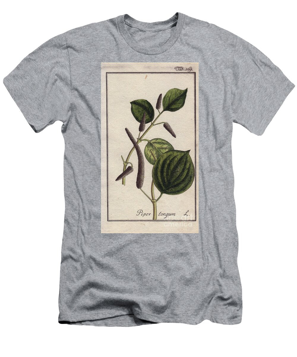 Botanical Long Pepper Long Pepper Piper Longum European School T-Shirt