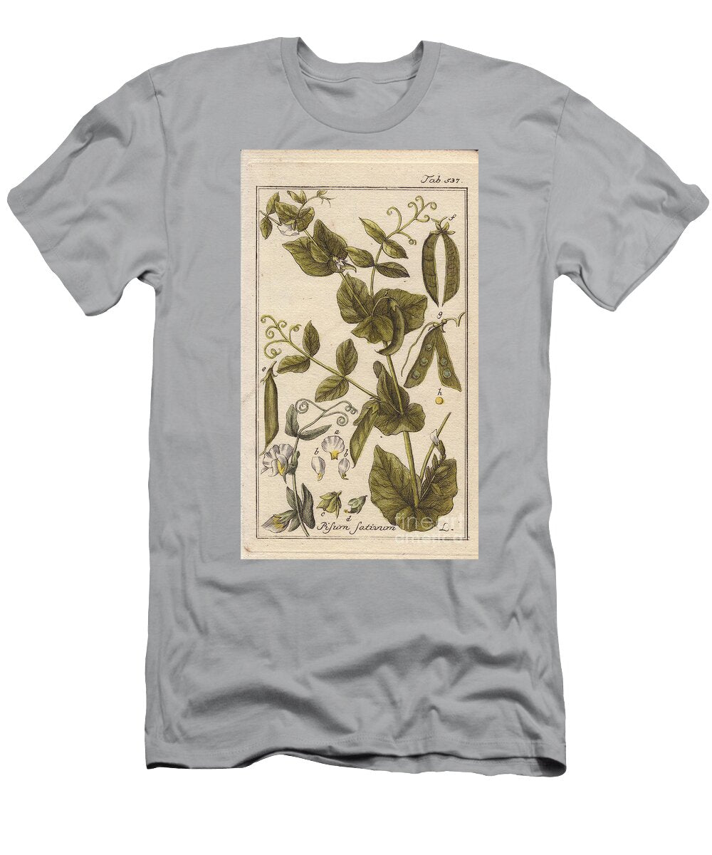 Botanical Pea Plant with Leaves Peapods Flowers Pisum Sativum European School T-Shirt