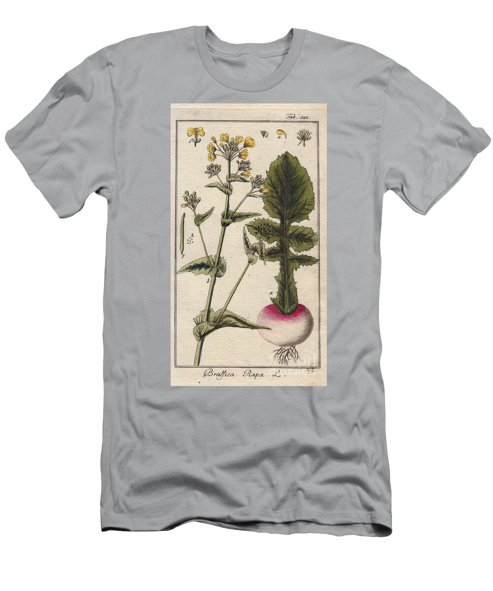 Botanical Turnip Turnip Plant with Flowers Leaves and Root Brassica Rapa European School T-Shirt