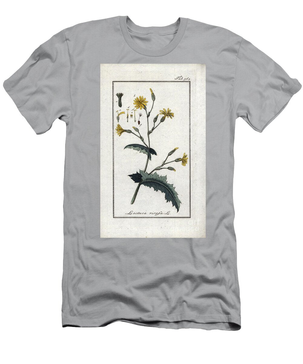 Botanical Wild Lettuce Wild Lettuce Lactuca Virosa European School T-Shirt