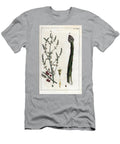 Botany Asparagus Asparagus Plant Asparagus Officinalis Bush 189 and Stalk 190 European School T-Shirt
