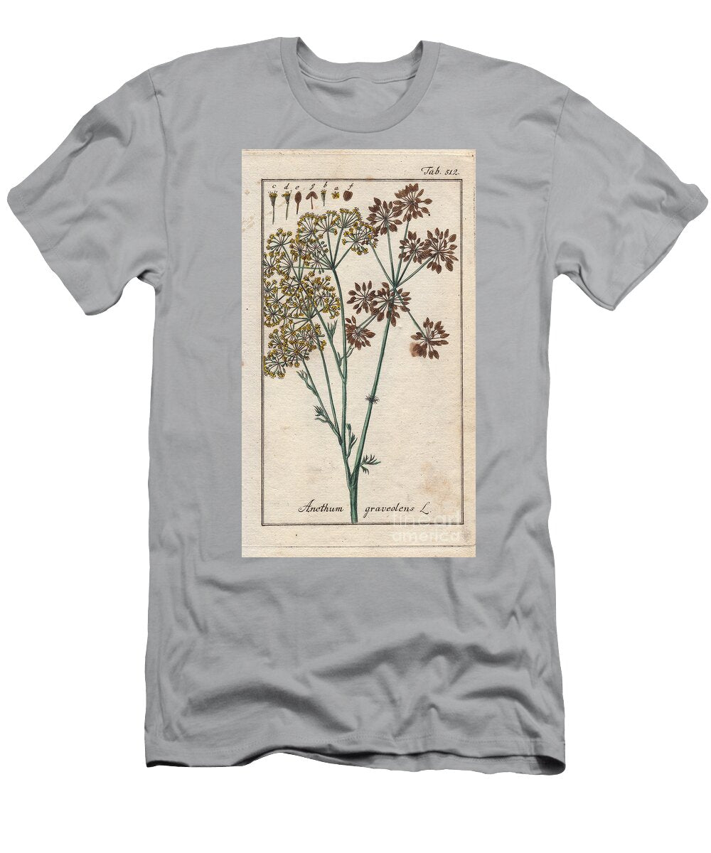 Botany Dill Dill Anethum Graveolens European School T-Shirt