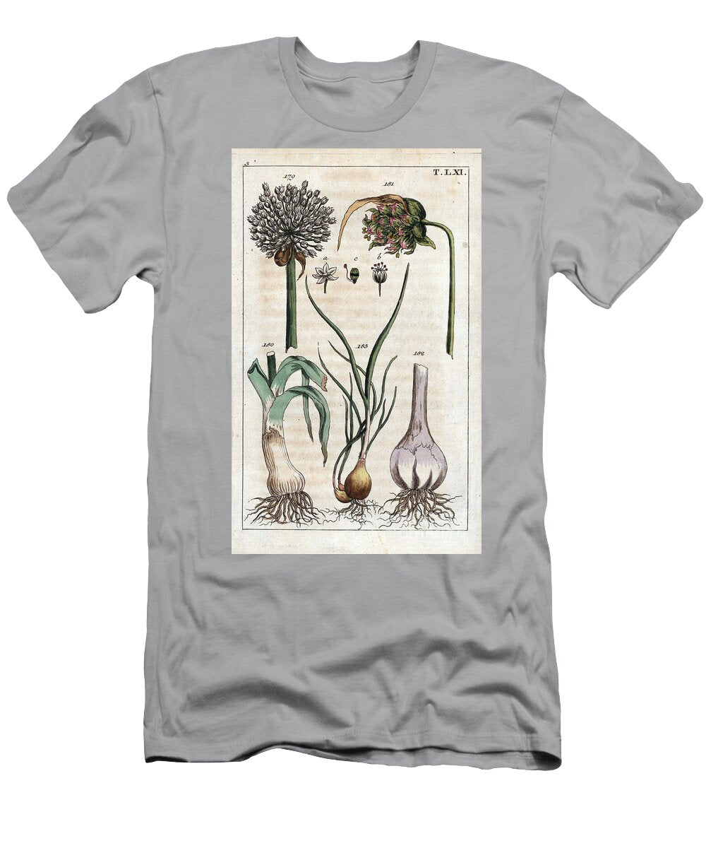 Botany Leek Garlic Echalote Leek Allium Pollum 179 Garlic Flower Allium Sativum 181 Garlic Bulb 182 and Shallot Allium Cepa Var European School T-Shirt