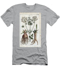 Botany Parsley Celeri Parsley Apium Petroselinum Flowers 155 and Root 156 and Celery Apium Graveolens 157 European School T-Shirt