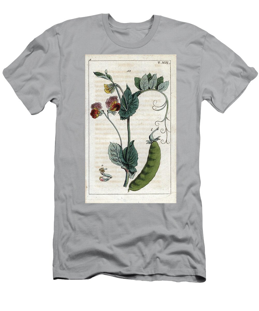 Botany Pea Common Pea Pisum Sativum Ordinary Pea 53 European School T-Shirt