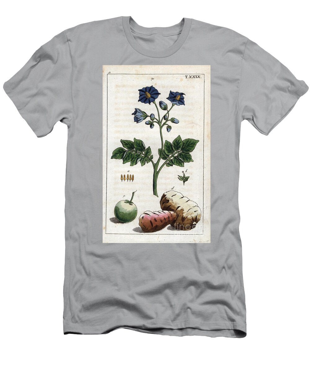 Botany Potato Potato Flower Tuber and Fruit Solanum Tuberosum 70 European School T-Shirt