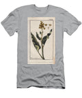 Botany Rhubarb Leaves Rhubarb Leaves Rheum Rhabarbarum European School T-Shirt