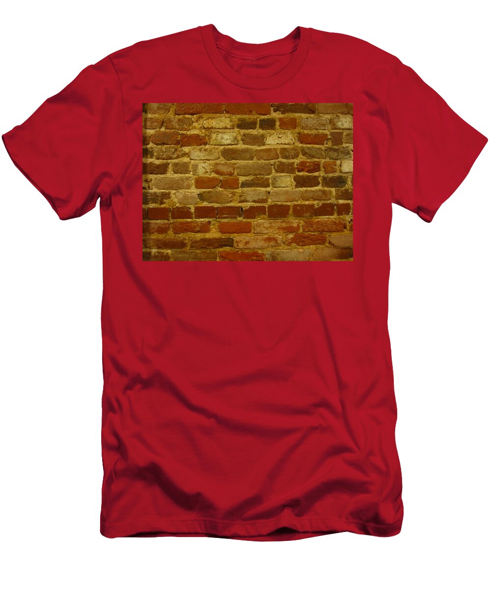 Brick Wall of Good Luck Michael French T-Shirt
