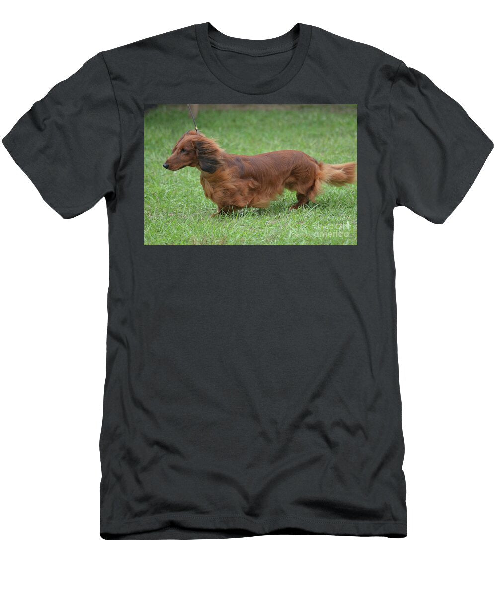 Brown Long Hair Dachshund Dog Dejavu Designs T-Shirt