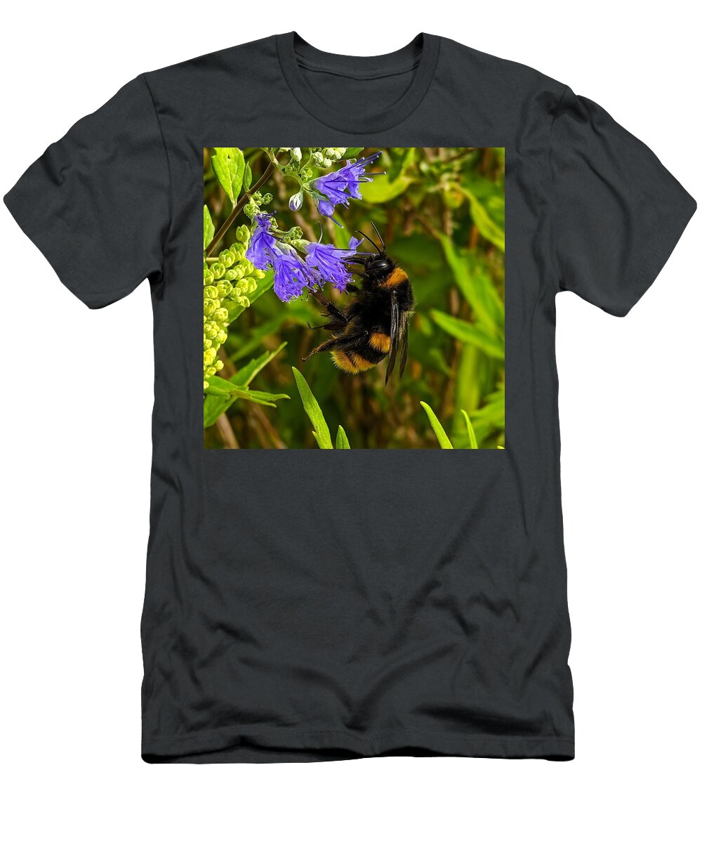 Bumblebee on Purple Flowers Mario G Rivera T-Shirt