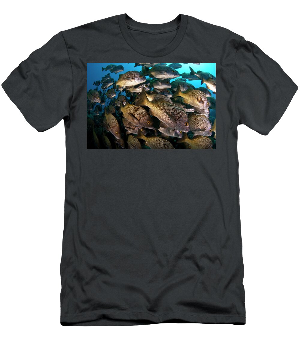 Burrito Grunt Luis Javier Sandoval T-Shirt