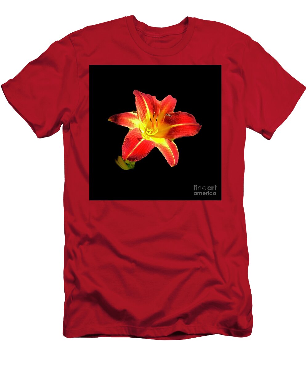 Busy Beauty Shawn Brandon T-Shirt