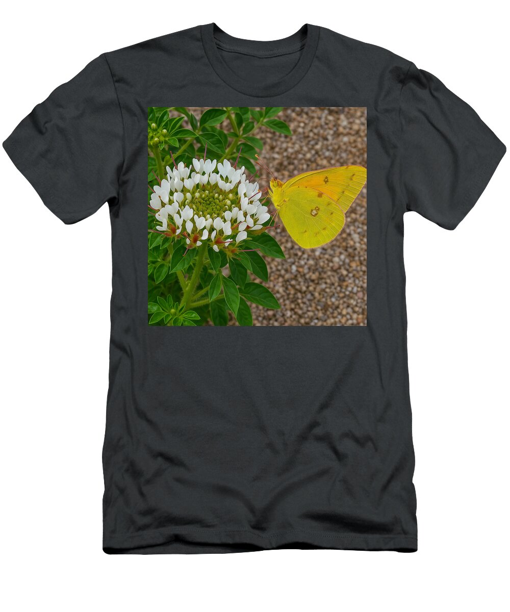 Butterfly Delicately Landing on White Flower Mario G Rivera T-Shirt